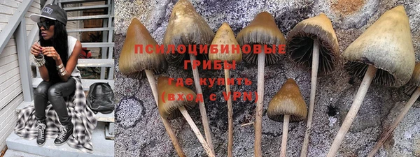 хмурый Балабаново
