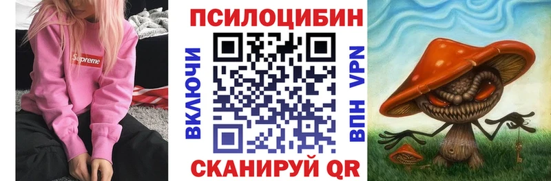 купить Кудымкар Псилоцибиновые грибы Psilocybe